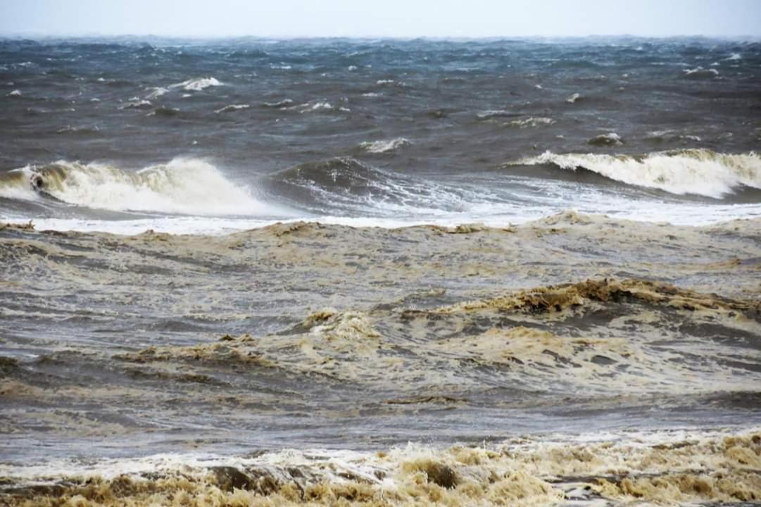 Overnachten Onder De Lange Jaap Ден-Гелдер Екстер'єр фото
